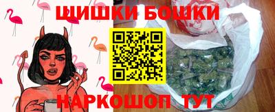 тгк Новодвинск