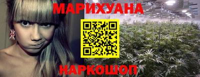 дмт Новозыбков