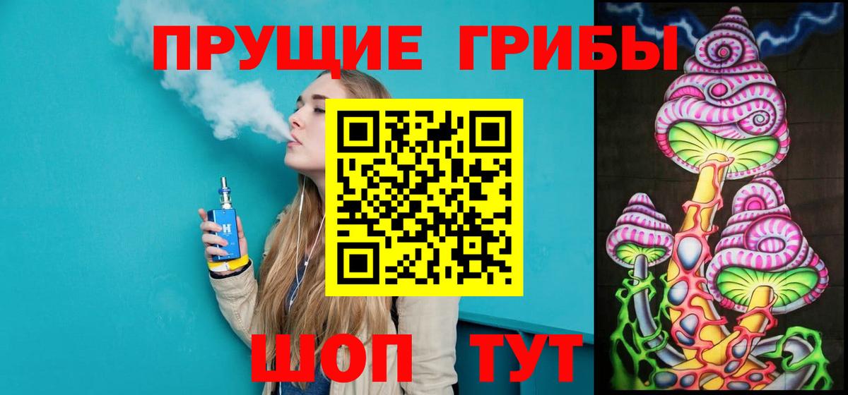 Псилоцибиновые грибы мицелий Урус-Мартан
